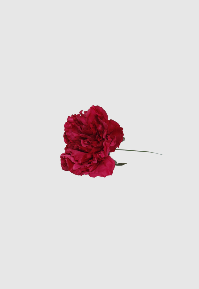 FLOR FLAMENCA
