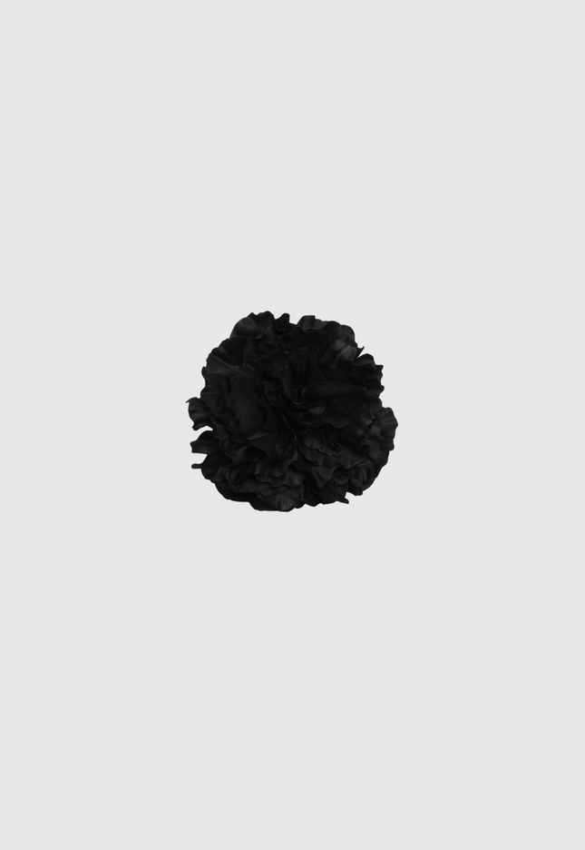 FLOR FLAMENCA