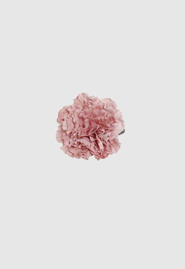 FLOR FLAMENCA