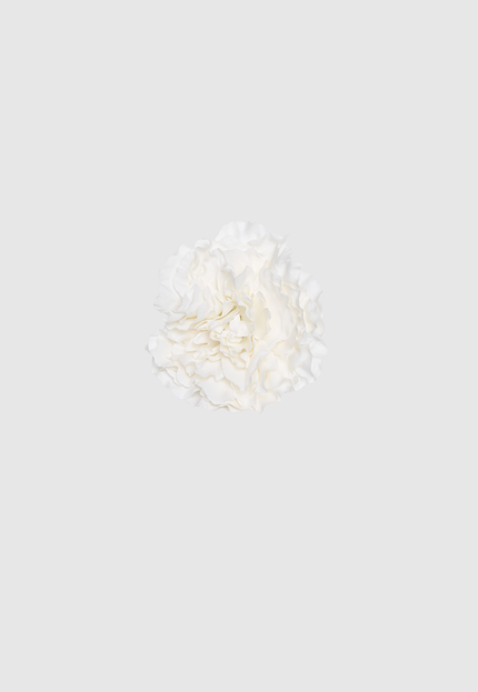FLOR FLAMENCA