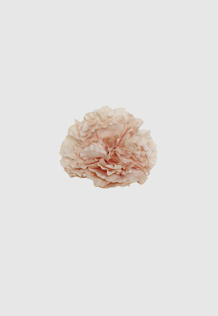FLOR FLAMENCA