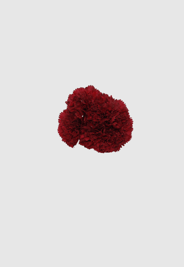 FLOR FLAMENCA