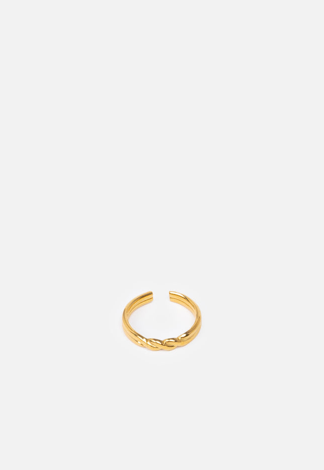 ANILLO ARMONIAS INFINITO