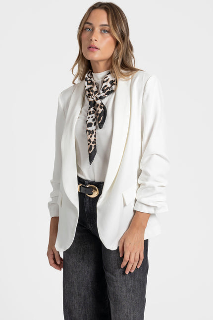 BLAZER ARMONIAS FRUNCE