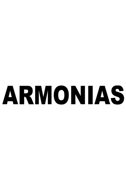 VESTIDO ARMONIAS